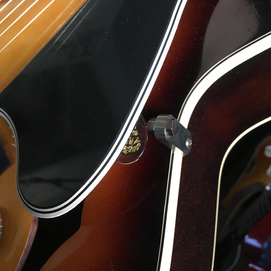 Is a pick guard essential?-887602d5-9c8e-49d7-8235-1f3624a60d35-jpg