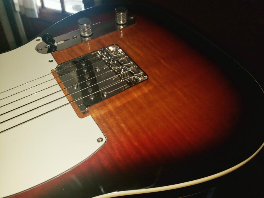 Well, I assembled another telecaster-20200724_160453-01-jpg