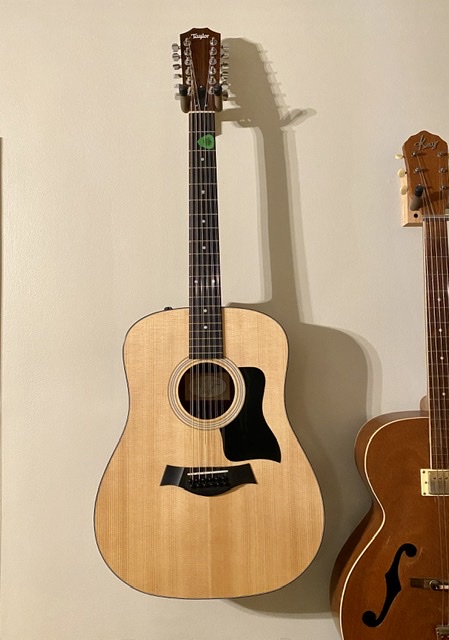 I need, uh want, a 12-string-188603d9-a0c3-47cc-9f53-2237c05bf08e-jpeg