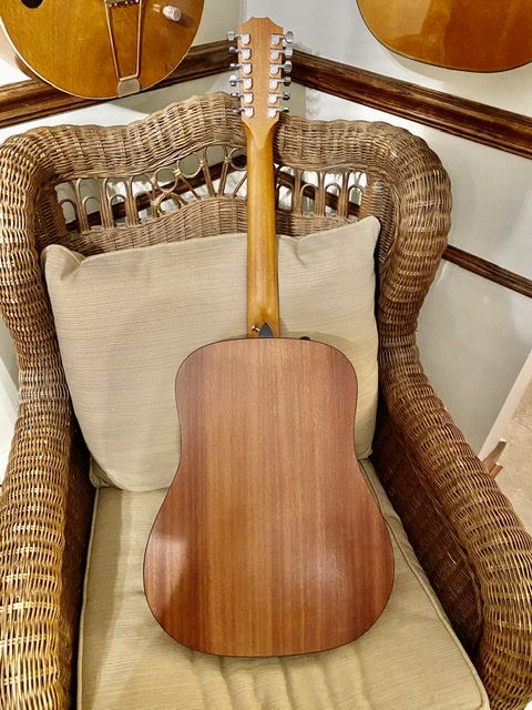 I need, uh want, a 12-string-d3b1d9b9-d900-4c22-9c8b-49c3d549d81e-jpeg