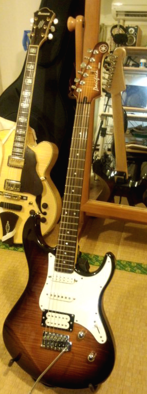Radical Capacitor / Trebles on a Strat-pac212-jpg