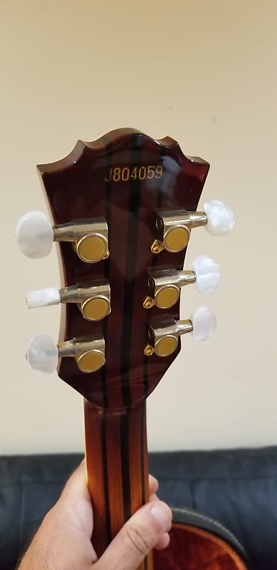 Picked up an interesting archtop - Barrington bgw-700-dydrsm2krt2sanrnk2rb-jpg