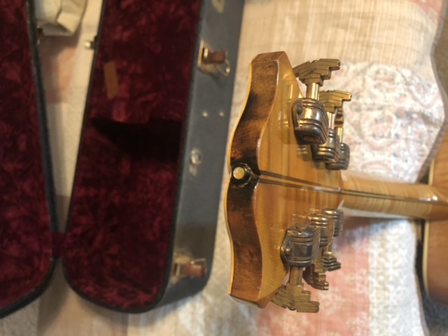 Headstock Da Request-a95a0095-defe-4a31-9d76-d6fa3bffc6c9-jpeg