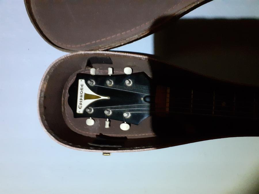 Epiphone Identification-20201027_185230-jpg