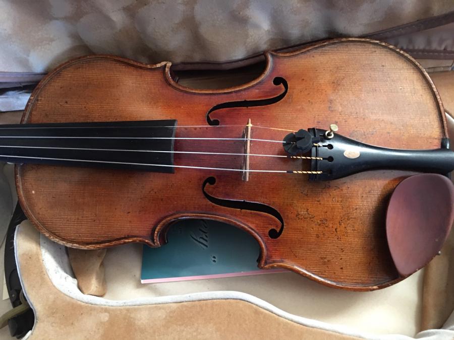 Too nice to gig with?-violin-jpg