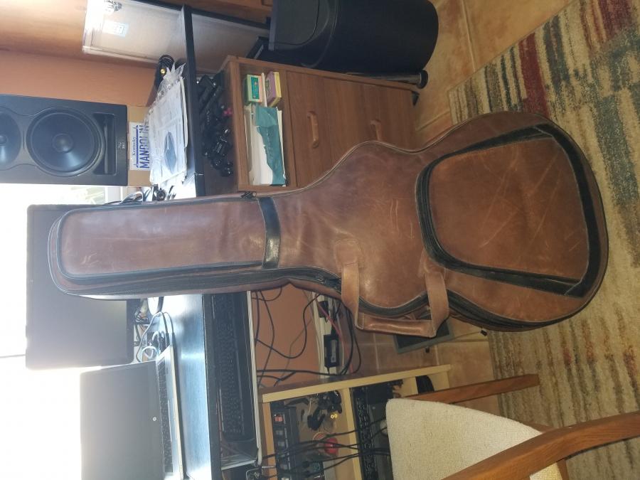 Gig bag for Eastman AR805-20201115_144948-jpg