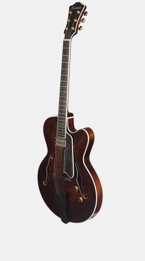 Looking for semi-hollow body not 335 shape-eastmant146sm-png