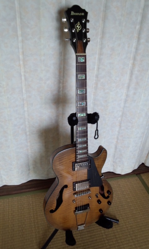 Looking for semi-hollow body not 335 shape-ags83show-jpg