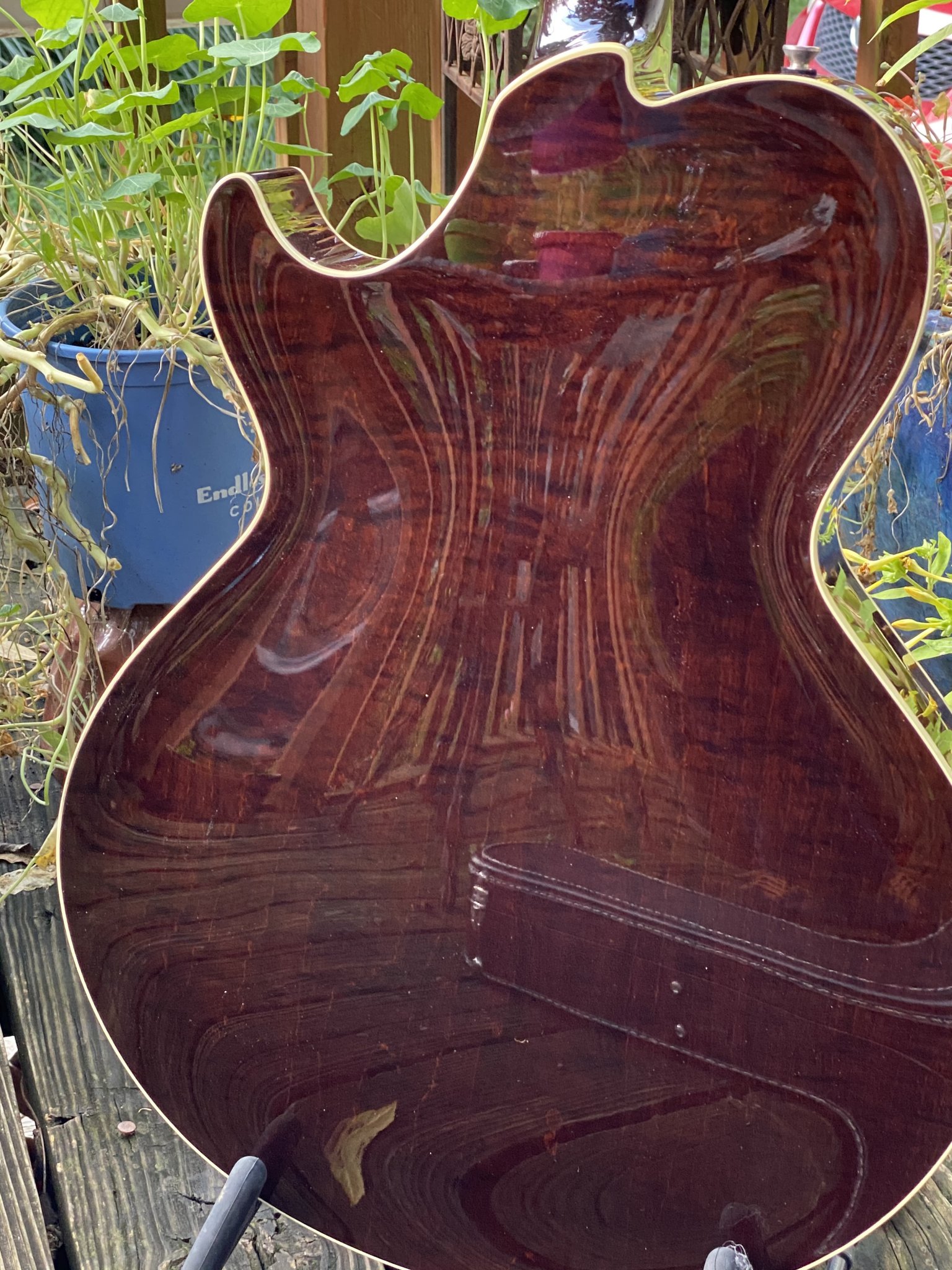 Collings Eastside LC-collings-lc-back-jpg