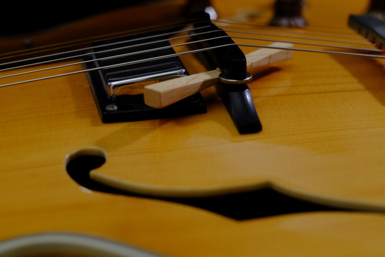 Adjusting action on an archtop-dscf5336a-archtop-guitar-bridge-adjustment-tool-jpg