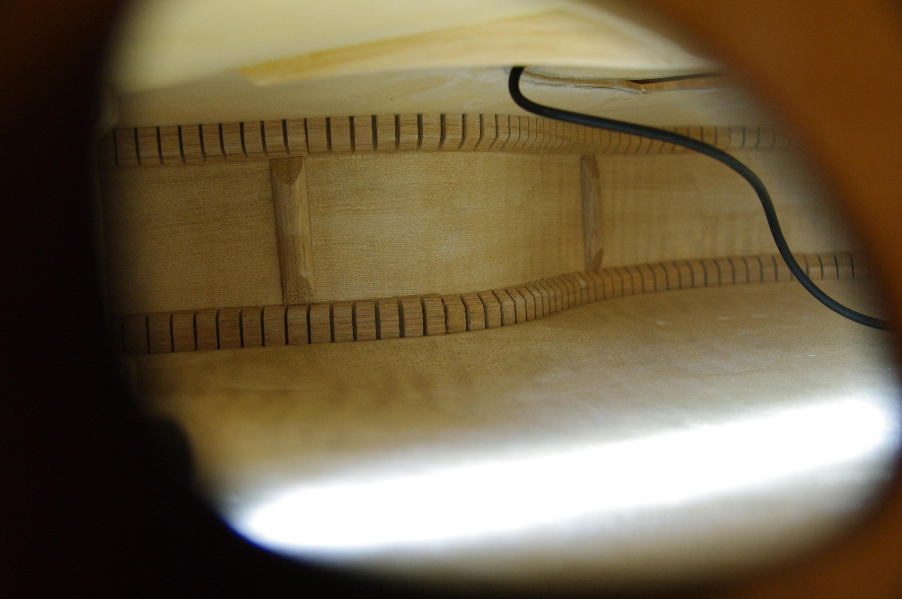 Inside hollowbodys &ndash; lockdown boredom relief-imgp3418-jpg