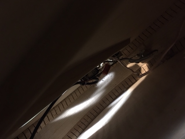 Inside hollowbodys &ndash; lockdown boredom relief-ar803-inside-jpg