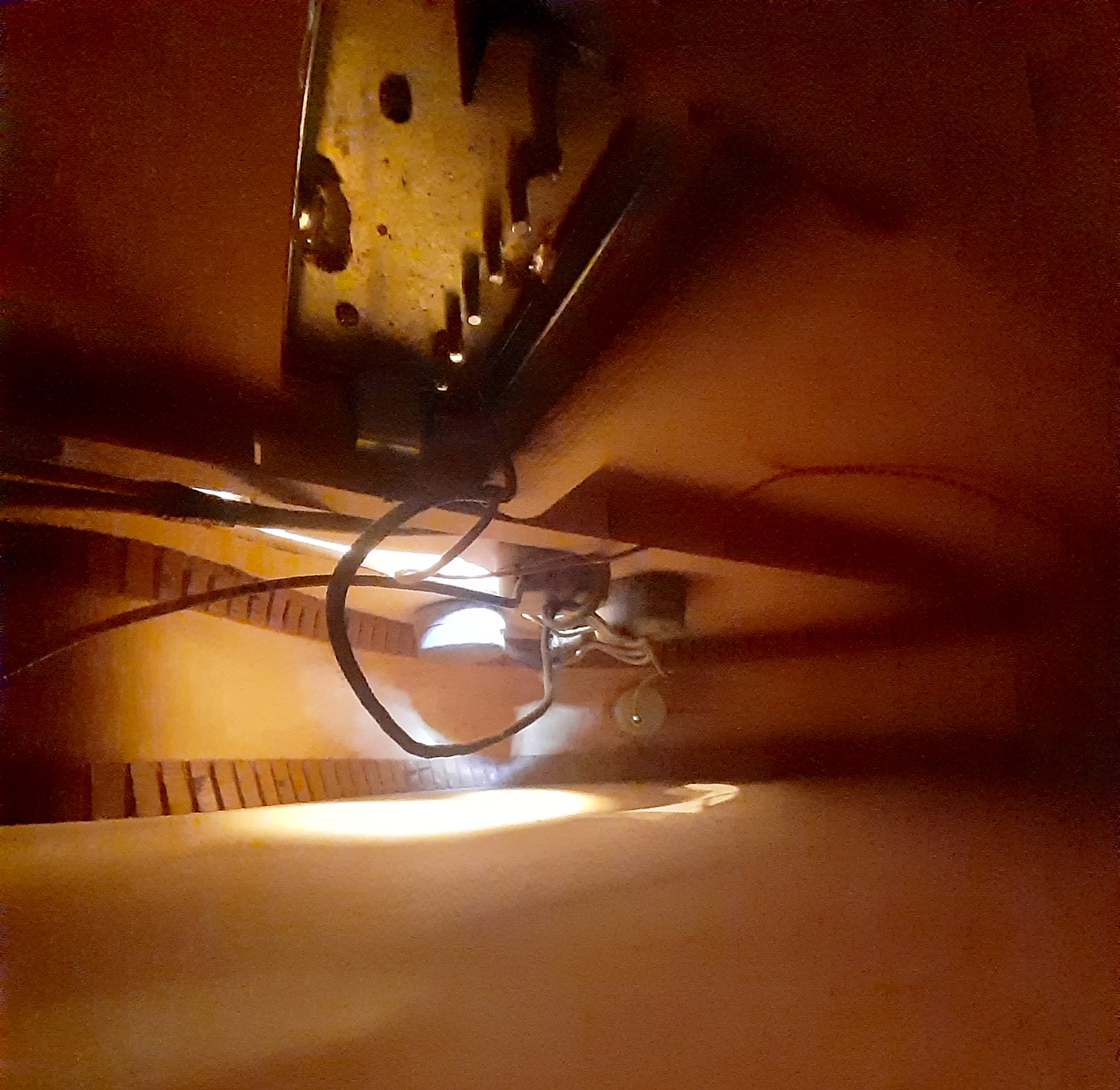 Inside hollowbodys &ndash; lockdown boredom relief-beac4aa3-5cf3-4c86-853e-6f737d4dfdfd-jpeg