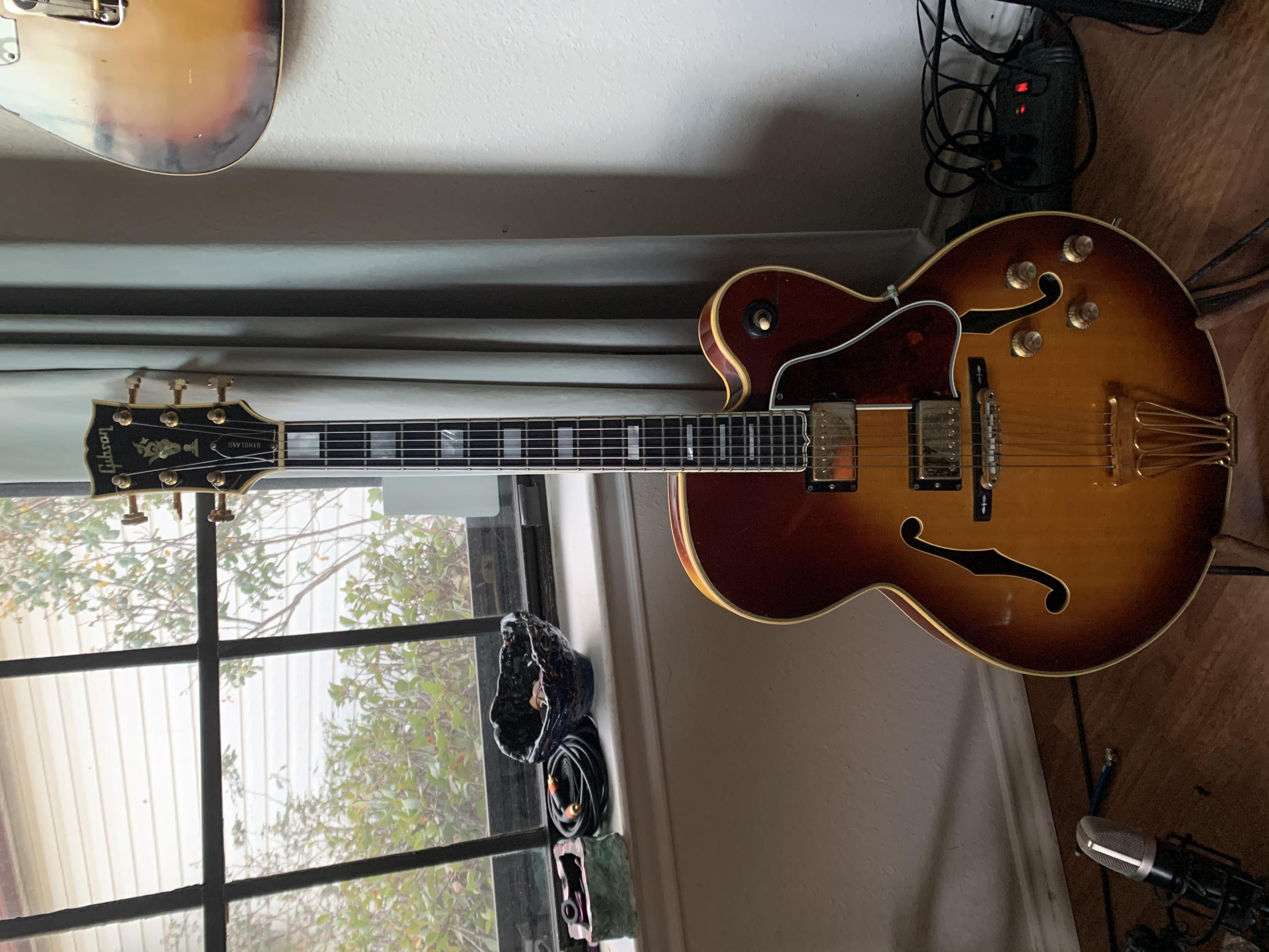 '69 Gibson Byrdland!-img_1973-jpg