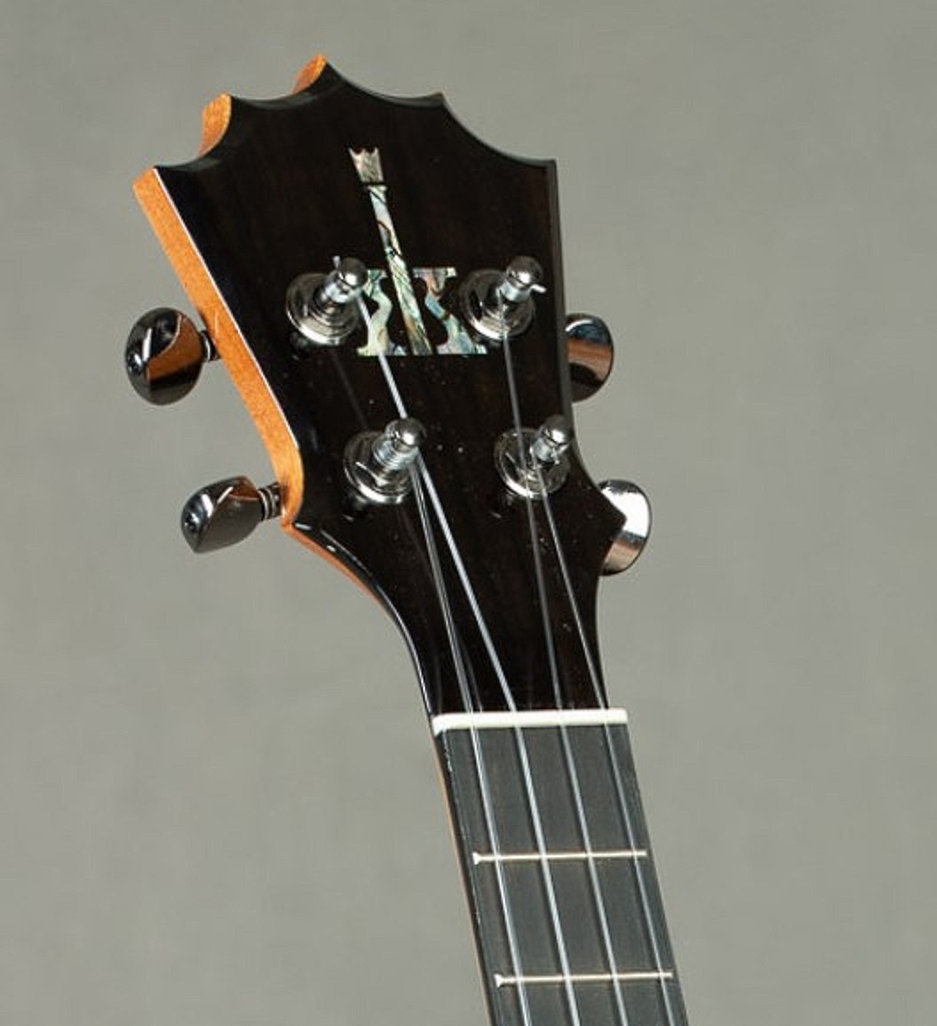 Visual Appearances of Headstocks-ktm-25-jpg