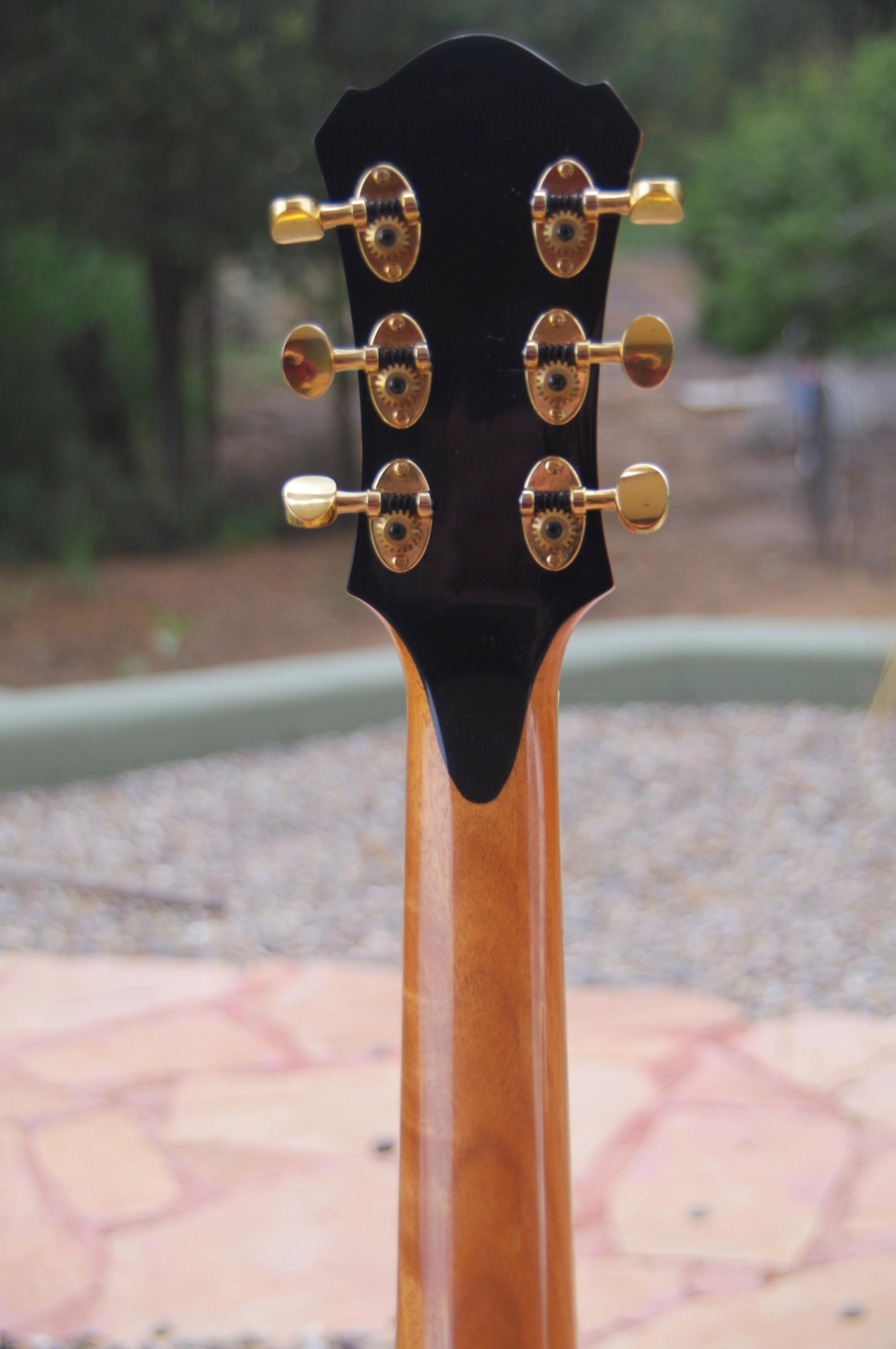 Mr Wu - Loar L-5?-imgp4474-jpg