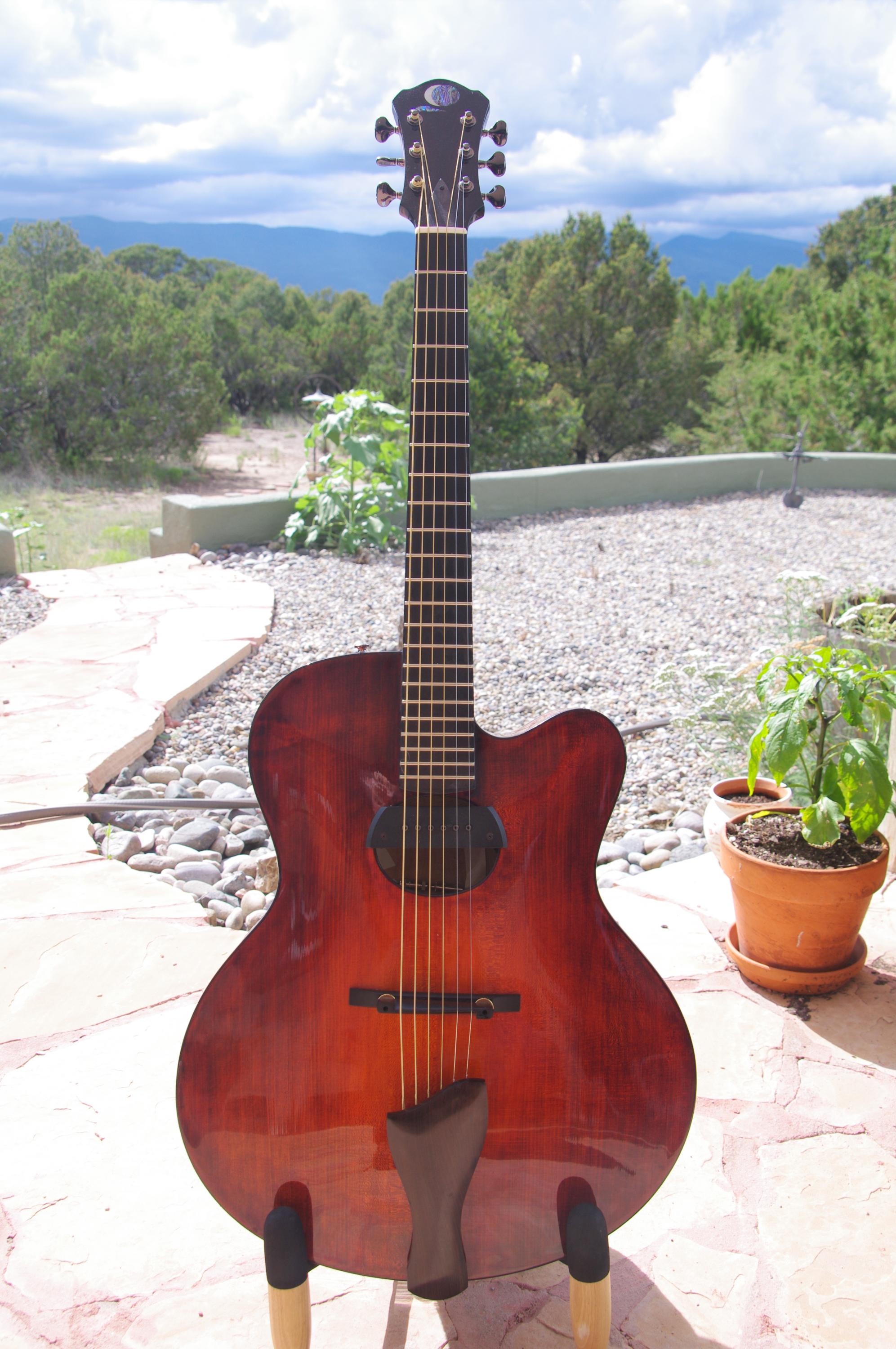Mr Wu - Loar L-5?-imgp4497-jpg