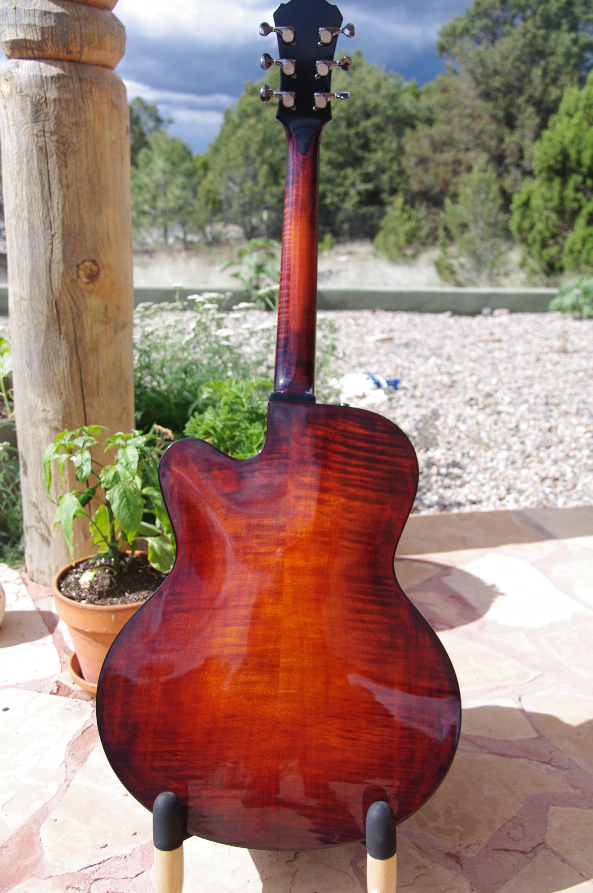 Mr Wu - Loar L-5?-imgp4501-jpg