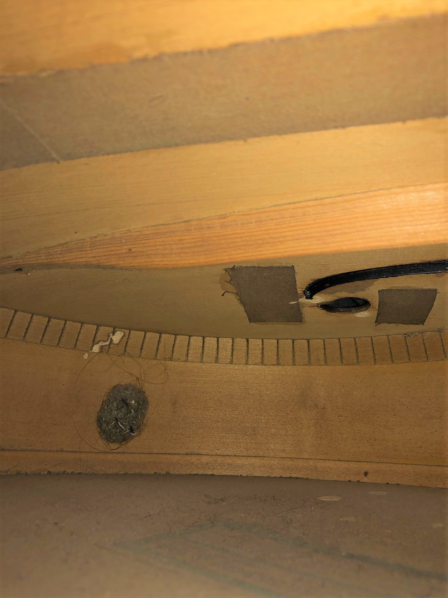 Inside hollowbodys &ndash; lockdown boredom relief-strom1-jpg