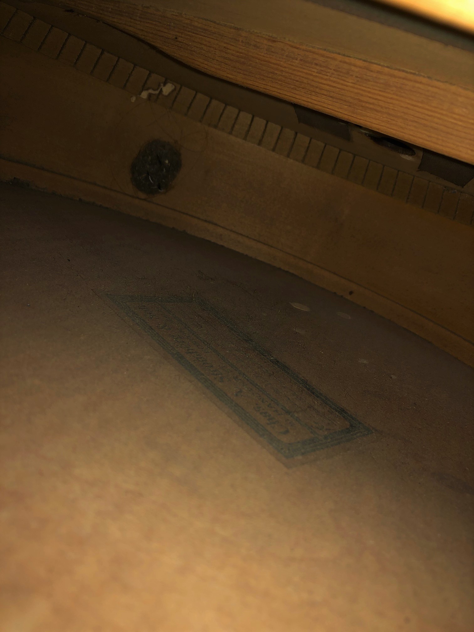 Inside hollowbodys &ndash; lockdown boredom relief-strom2-jpg