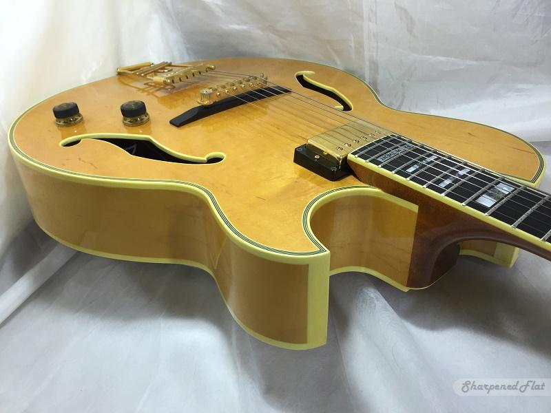Ibanez working on new Metheny model with CC?-ibanez-pm-100-pinup-jpg
