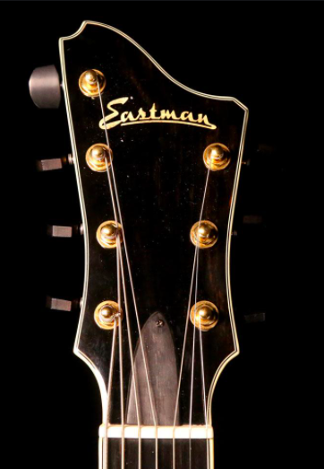 Is This 7 String Headstock Odd?-regularlook-eastman7string-png