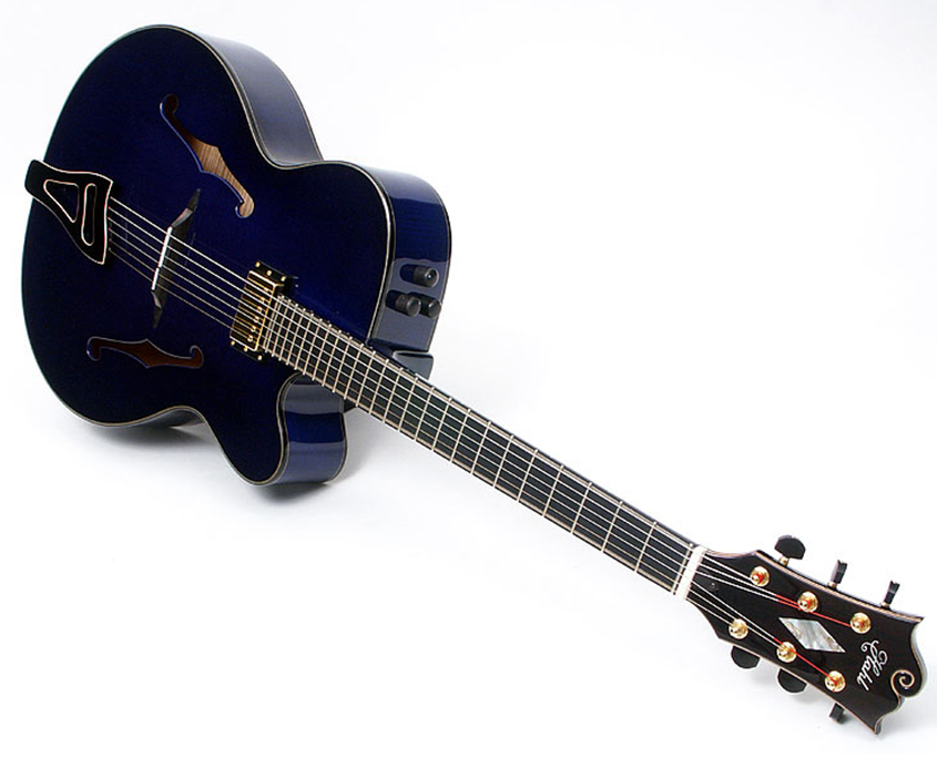 Archtops with side-mounted volume/tone controls-blue_diamond_3-jpg