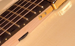 Archtops with side-mounted volume/tone controls-solomon-volume-control-jpg