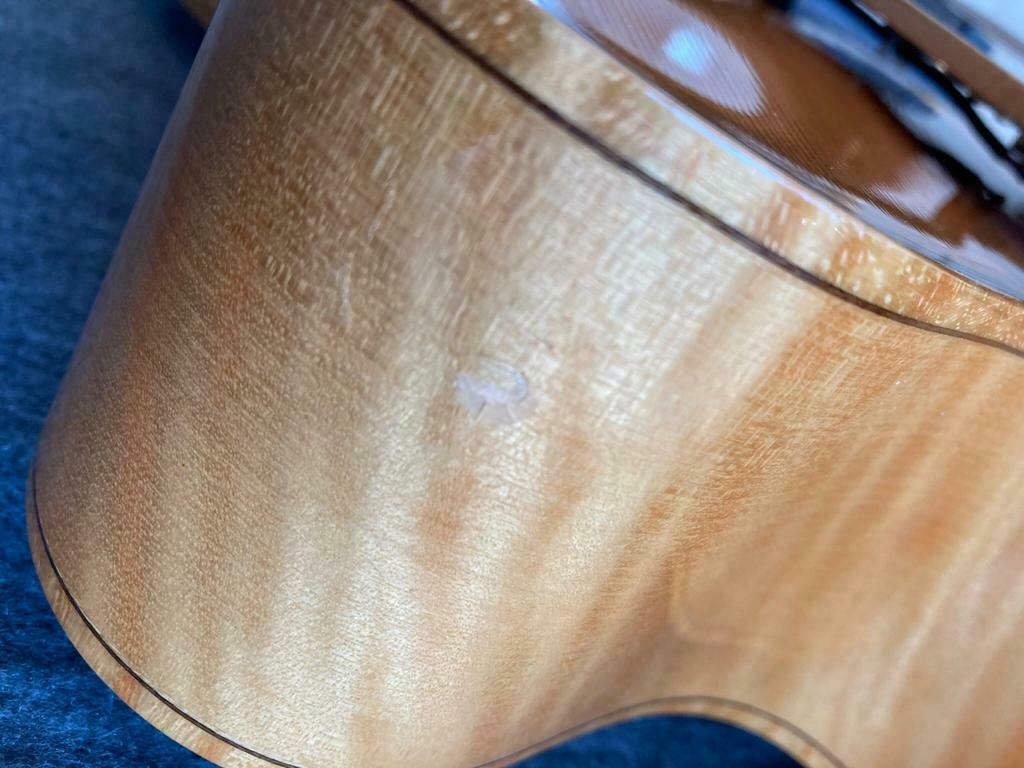 Eastman AR910 CE Uptown Deluxe-3-jpg
