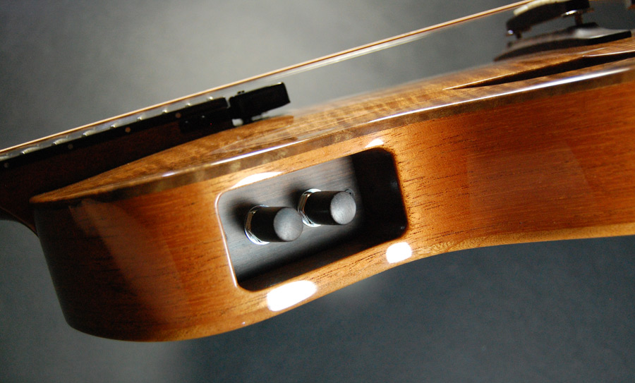 Archtops with side-mounted volume/tone controls-side-volume-myca-jpg