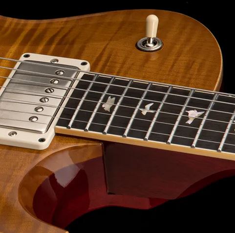 Joe Walsh's PRS Signature guitar-joe-walsh-prs-jpg