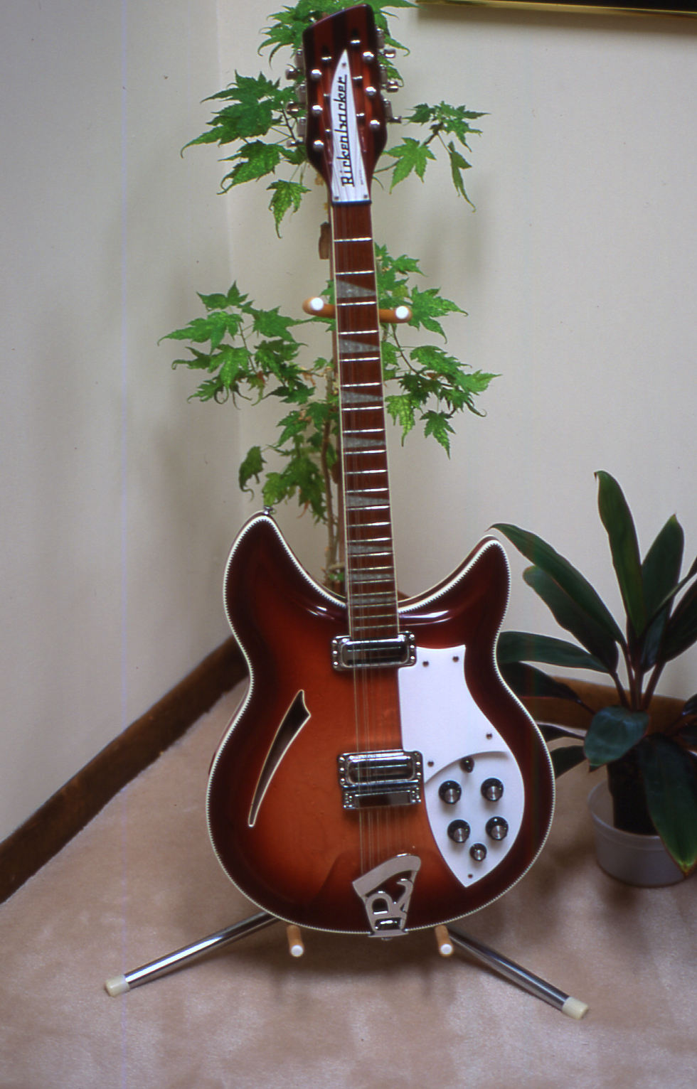 Rickenbacker guitars?-381-12-front-2-jpg