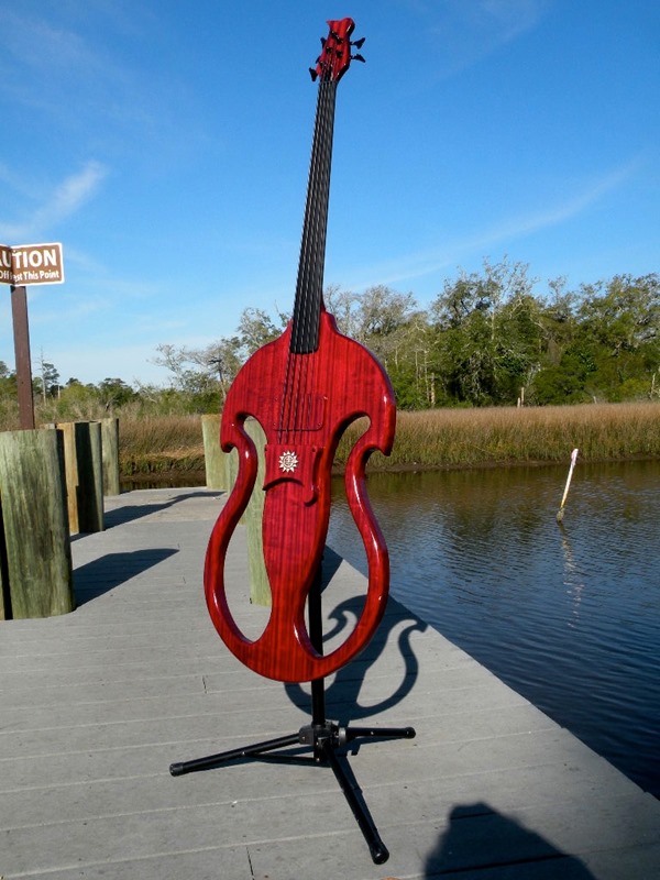 Electric upright bass for fun-bayou1-jpg