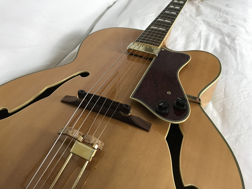 How to Mute Tailpiece Strings?-eer-jpg