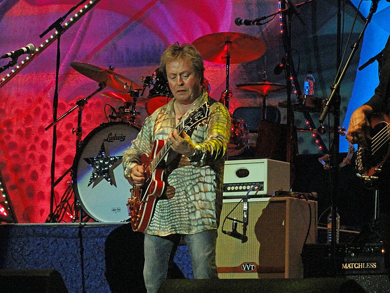 Is the Gibson ES-335 worth it?-derringer-jpg