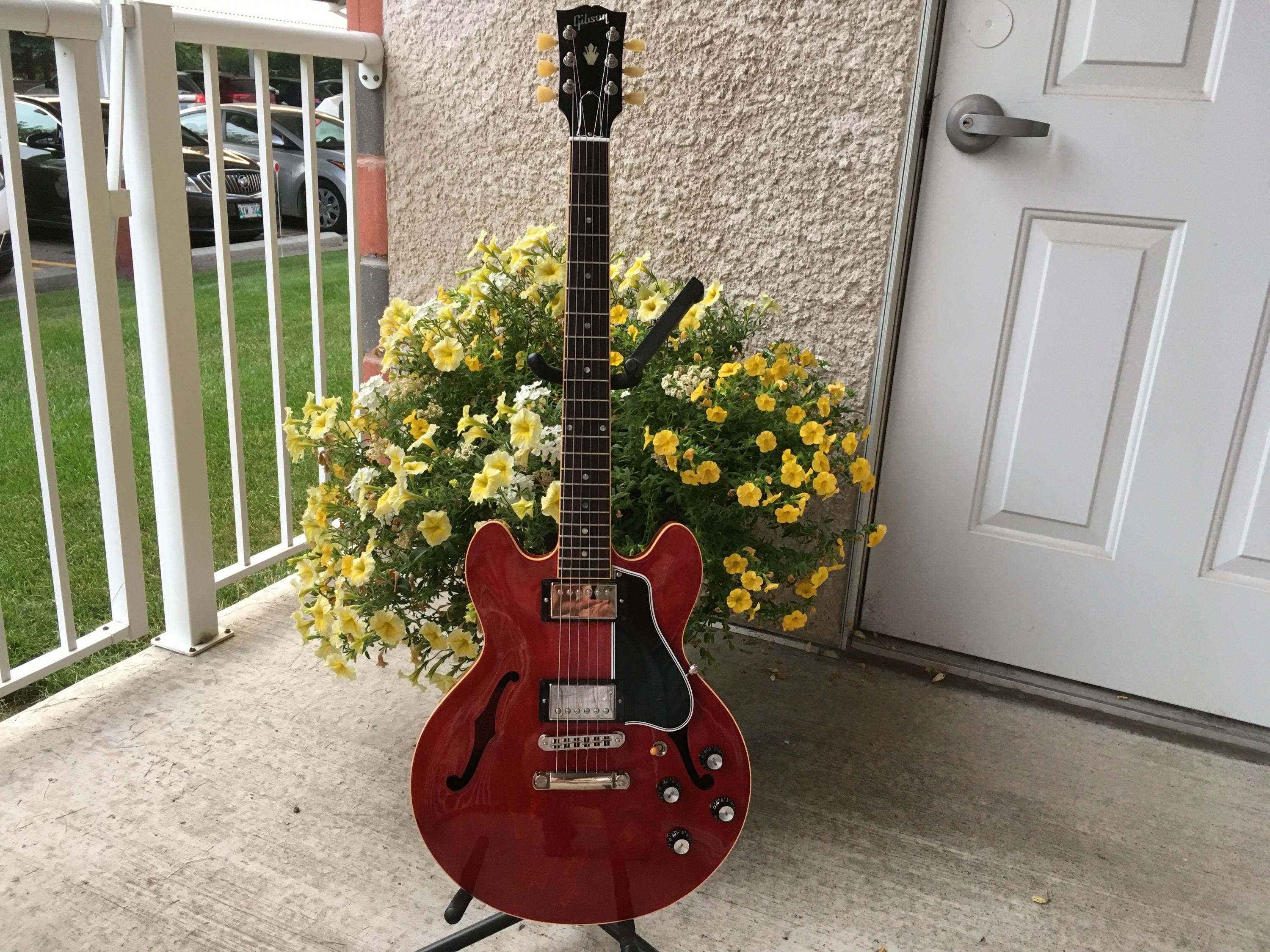 Gibson ES-339 - Informed Opinions?-img_126812046-jpg