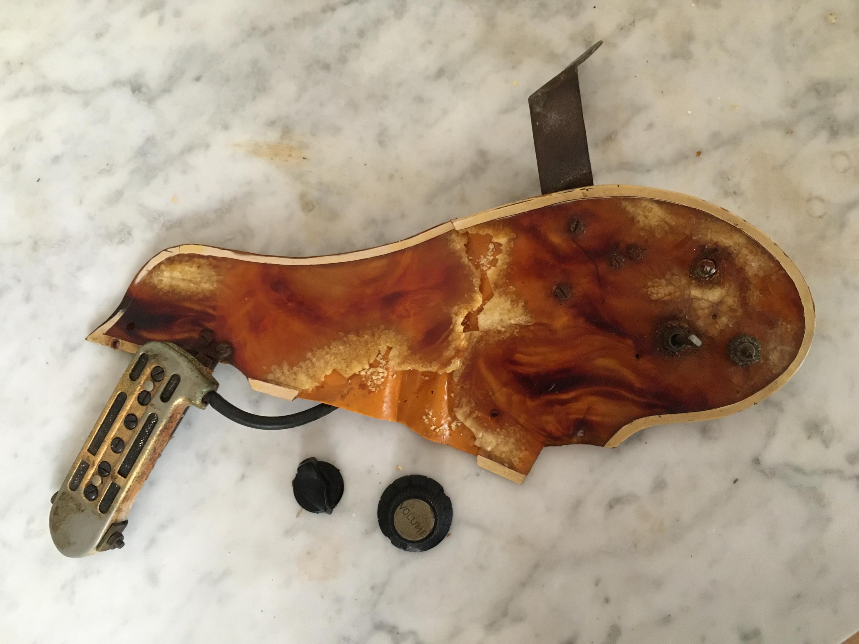 DeArmond RythmChief 1100 - Pickguard &amp; Electronics, how to refurbish?-img_3961-jpg