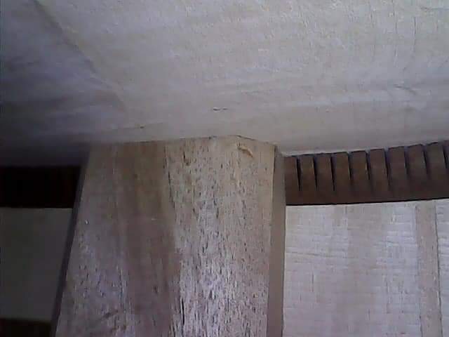 Inside my Loar 700-fb_img_1627430590560-jpg