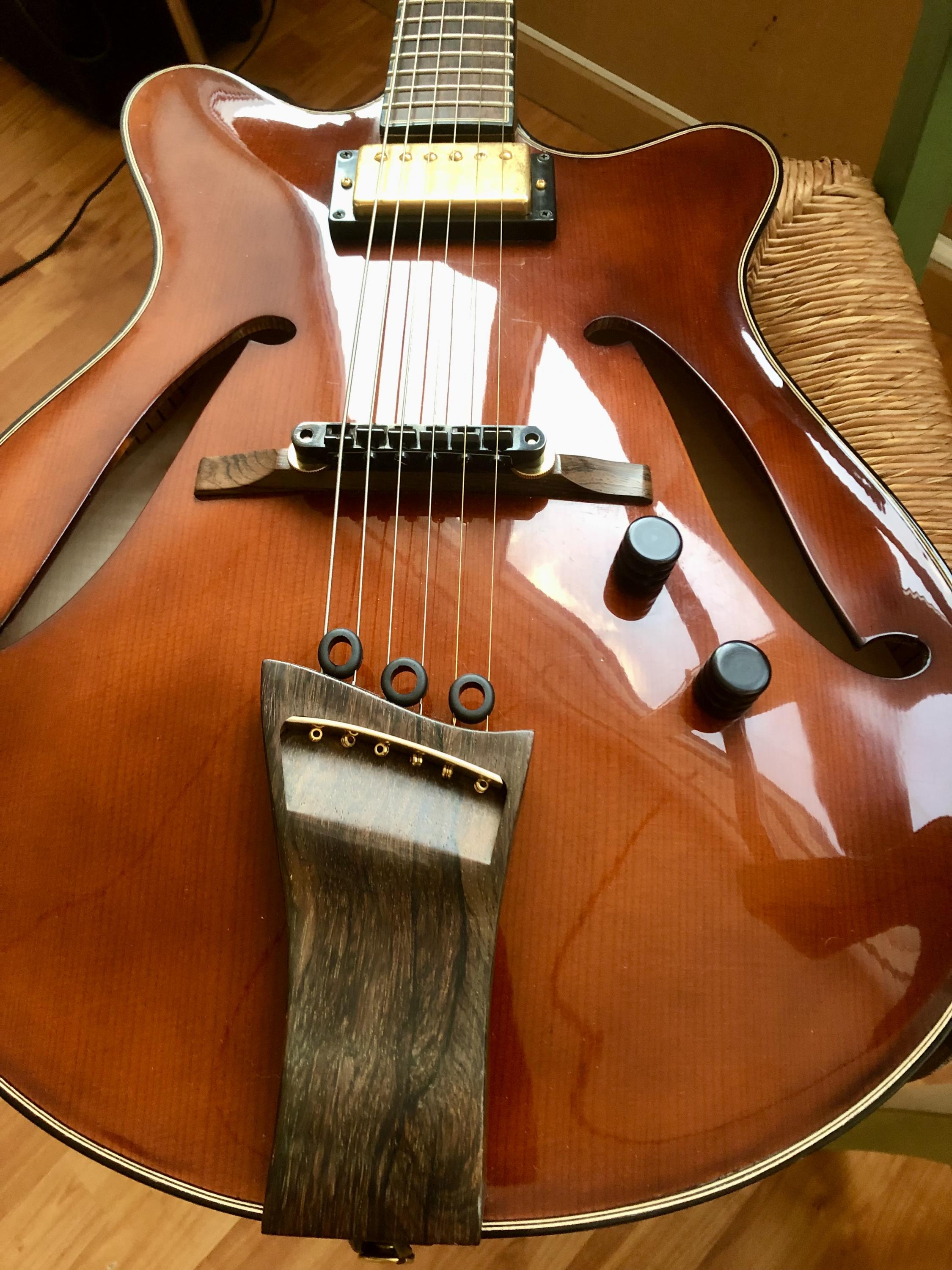 How to Mute Tailpiece Strings?-img_4089-jpg