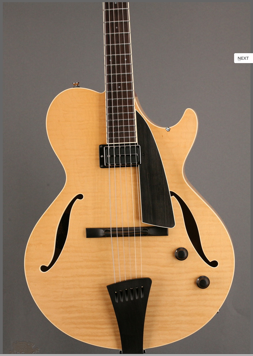 Collings Eastside LC-safariscreensnapz009-jpg