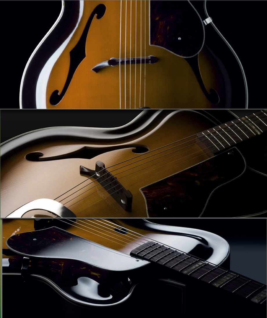 Starting My Own Guitar Company-hoyer-roger-hi-jpg