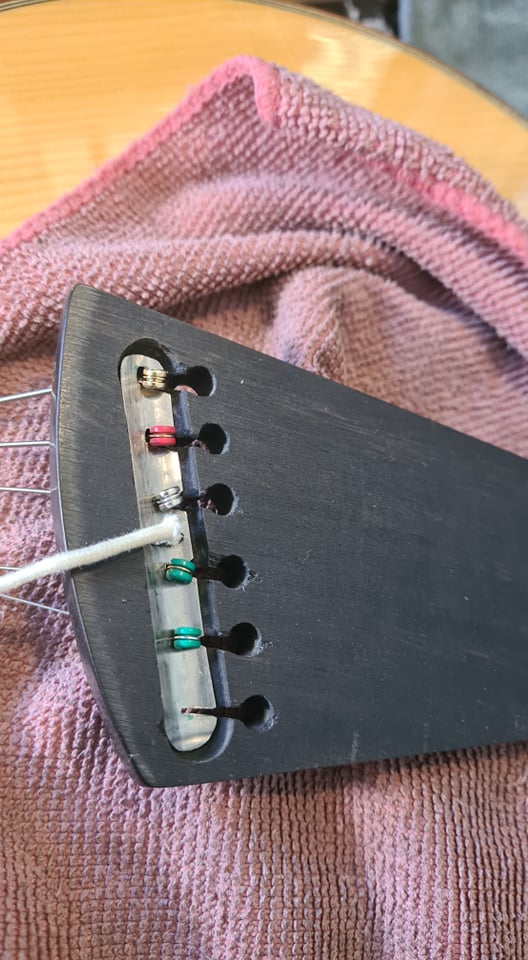 New Eastman Pagelli Electronics Buzz-233075223_345859303902850_2875026807495165541_n-jpg