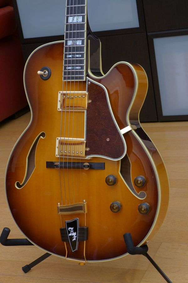 Ibanez working on new Metheny model with CC?-ibanez-af200-622925-jpg