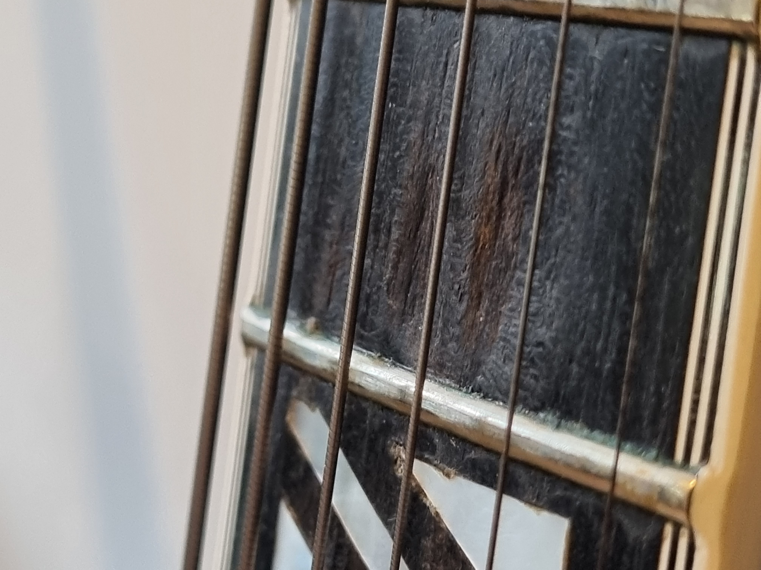 Fretboard pitting - What's the deal?-20210913_180034-jpg