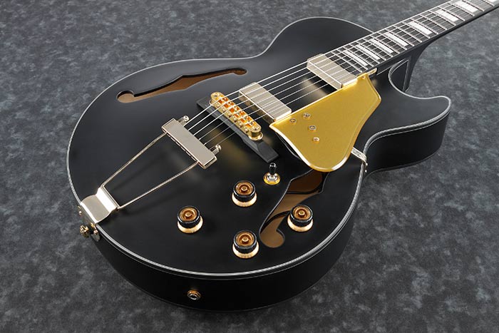 How to adjust trapeze tailpiece Ibanez AF155-ca01d93f-4c7c-416f-8e15-83a75b77b70c-jpeg