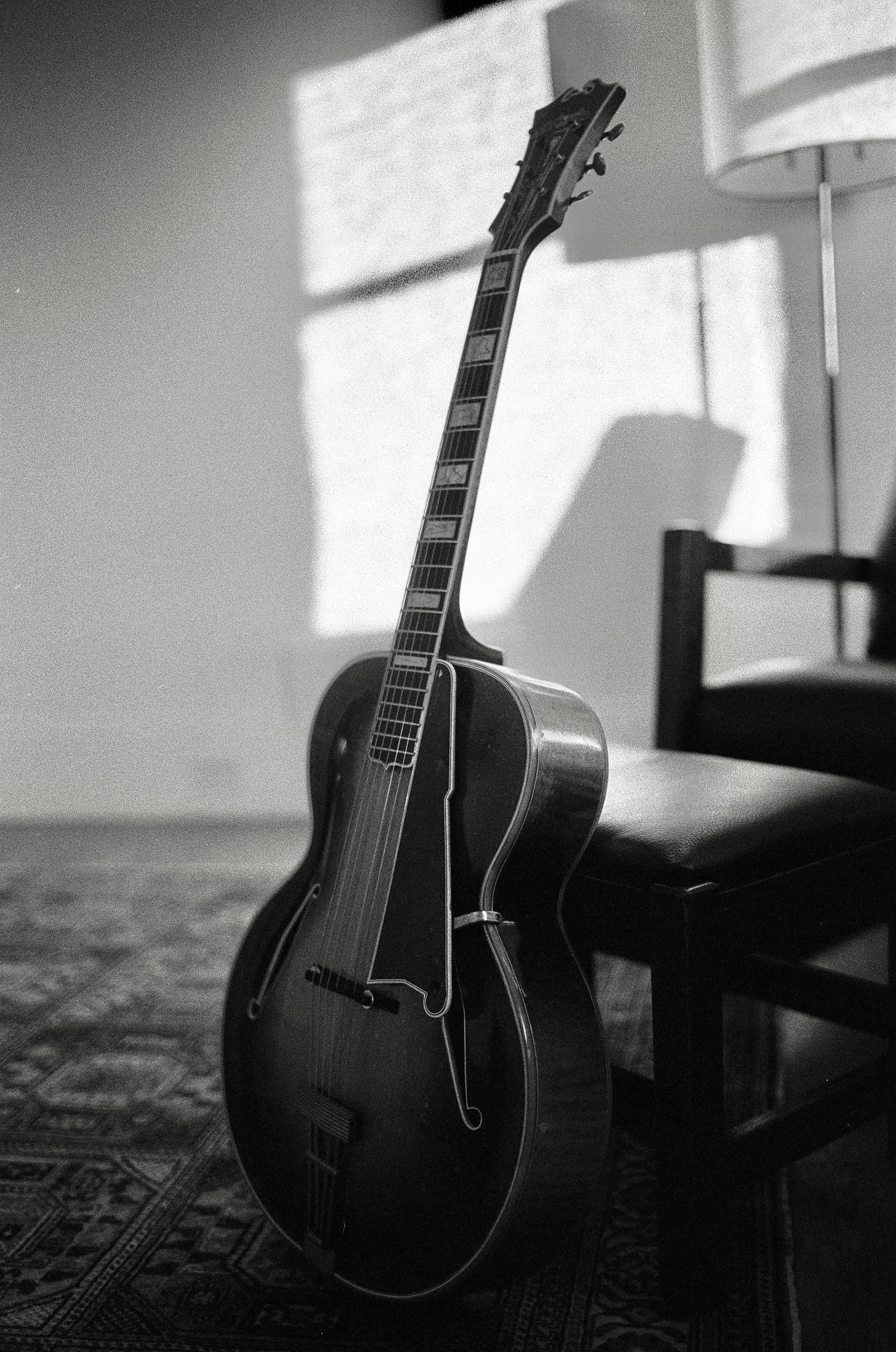 Jazz Archtop Photos-img_0777-jpg