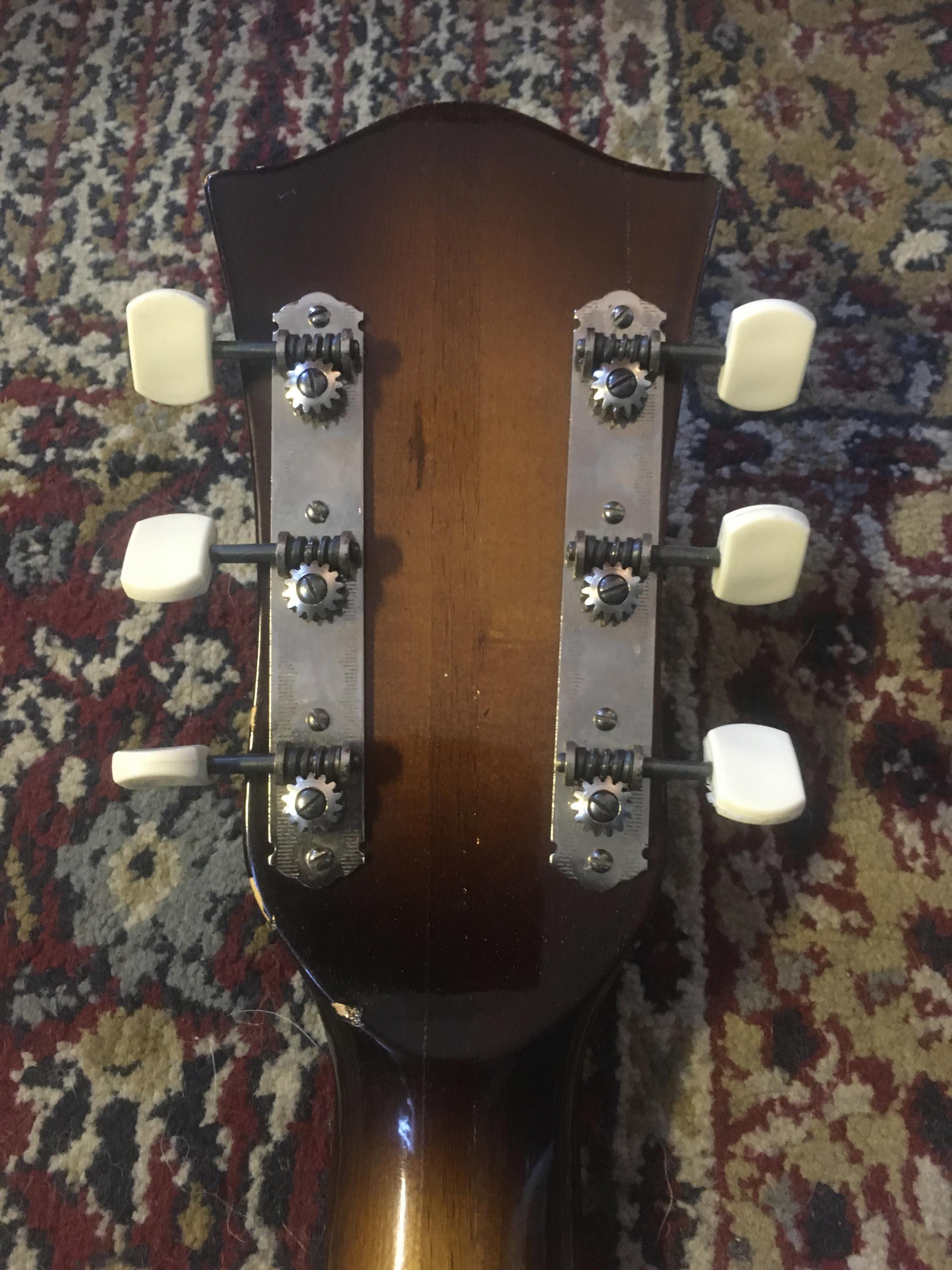 Older Hofner Archtops?-img_7426-jpg
