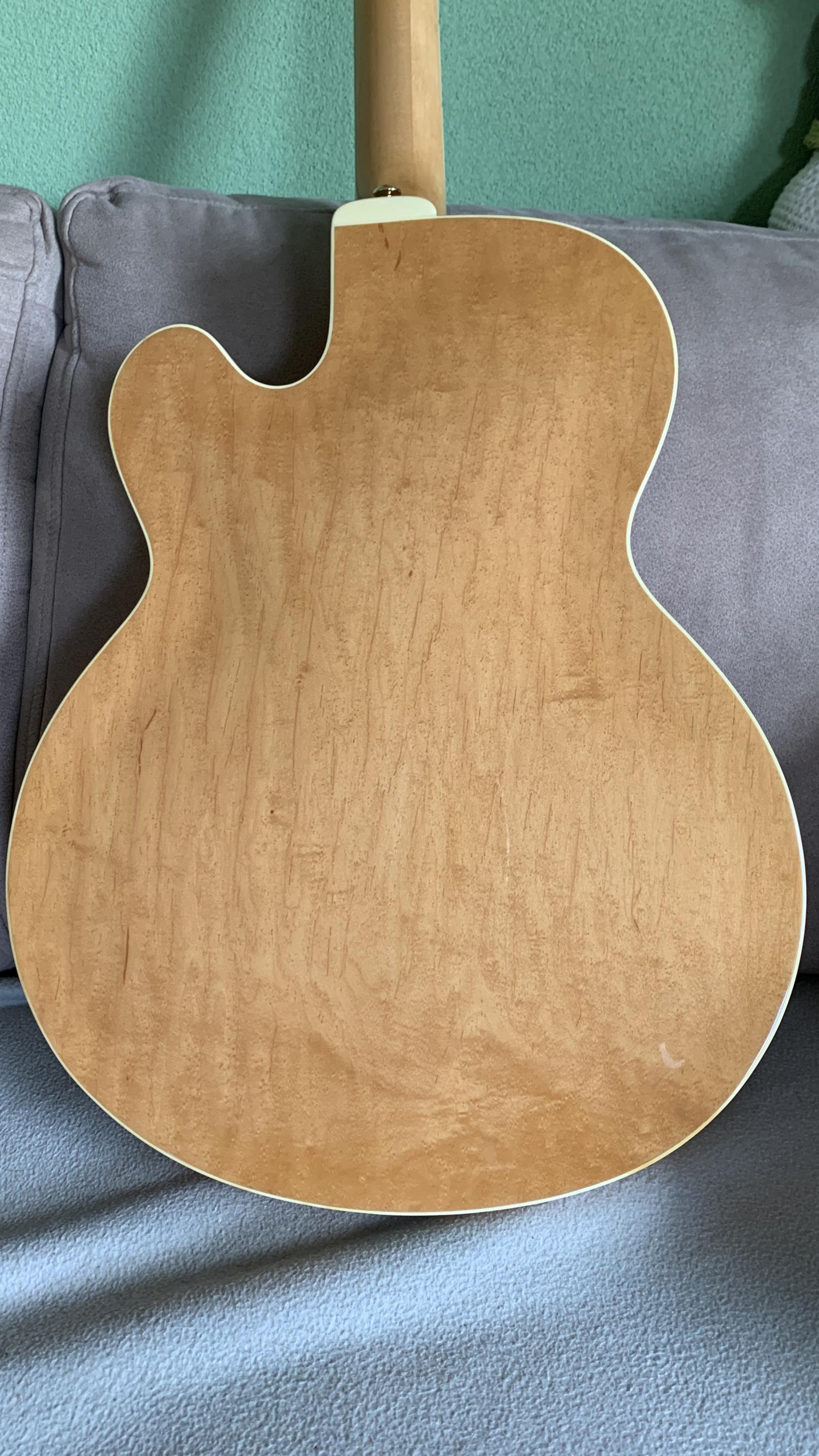 Ibanez FG100 - Scrapple from the Apple-fg-100-back-jpg