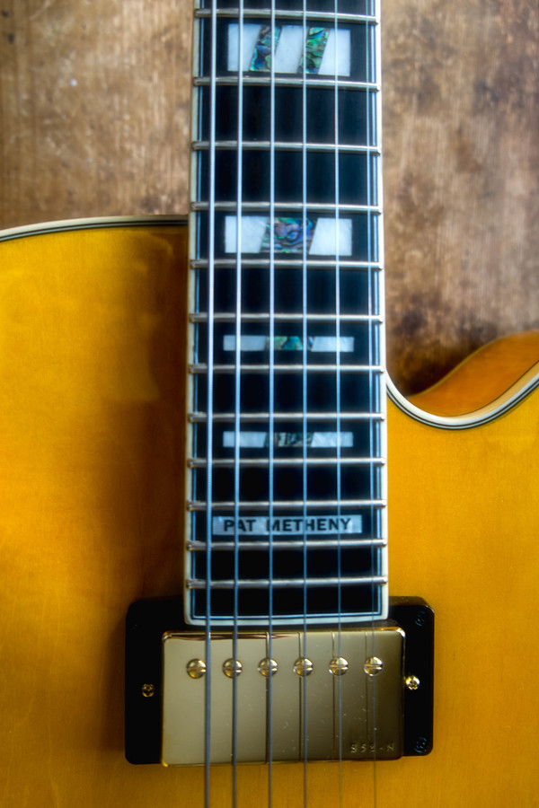 Thoughts on Ibanez PM2?-4-jpg