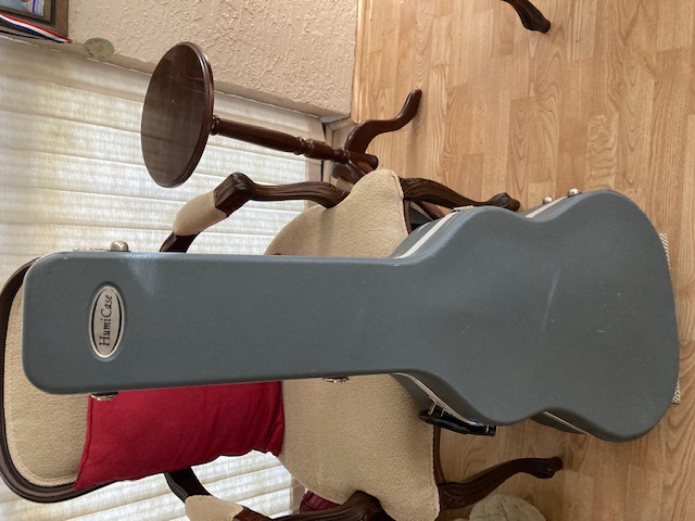 Gig bag for Ibanez LGB30-img_2239-jpg